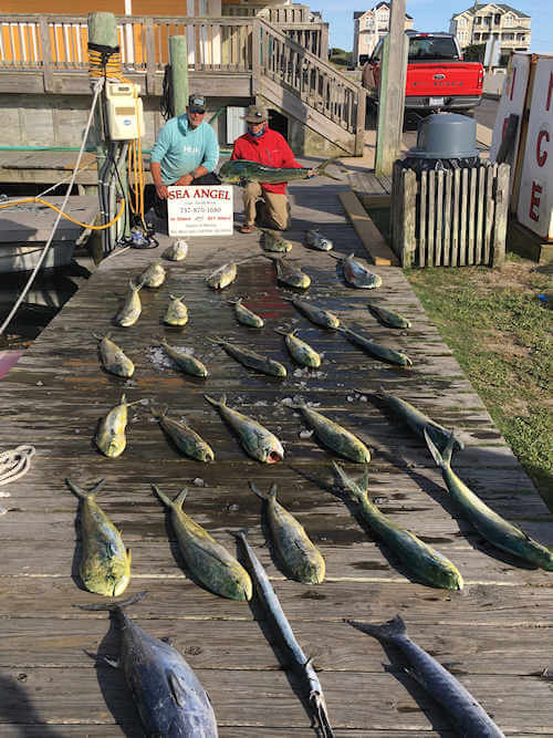 Mahi have been biting for Sea Angel