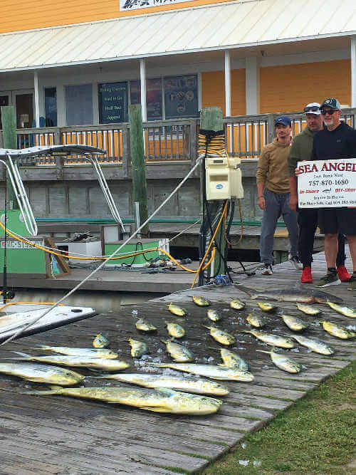 Mahi have been biting for Sea Angel