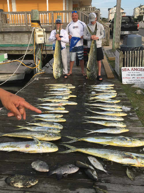 Mahi have been biting for Sea Angel