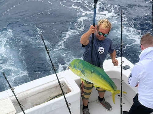 Mahi have been biting for Longer Days