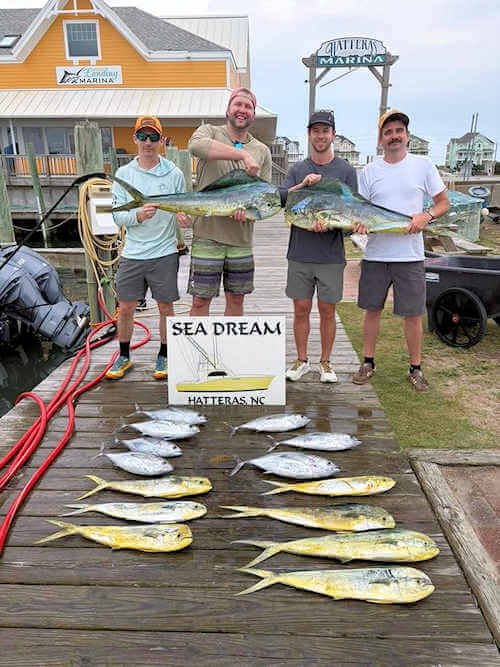 Mahi have been biting for Longer Days
