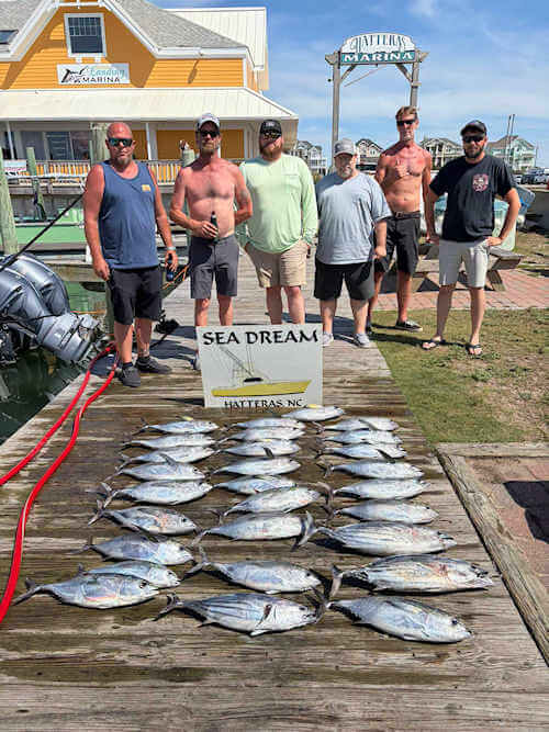 Nice Cape Hatteras tuna catch on Sea Dream.