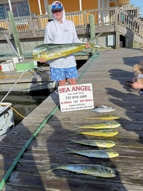 Hatteras Mahi still biting for Sea Angel.