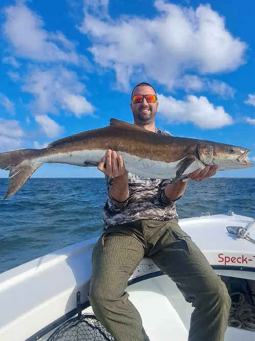 Speck-Tacklercatches first cobia of the season. 