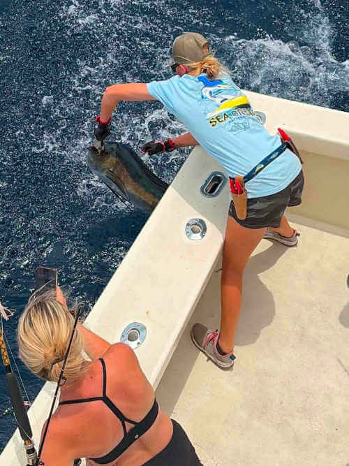 Great Cape Hatteras charter catches on Sea Draem.