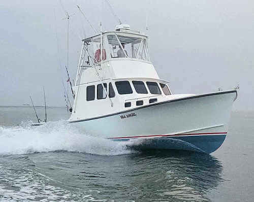  fishing report images from Sea Angel Charters