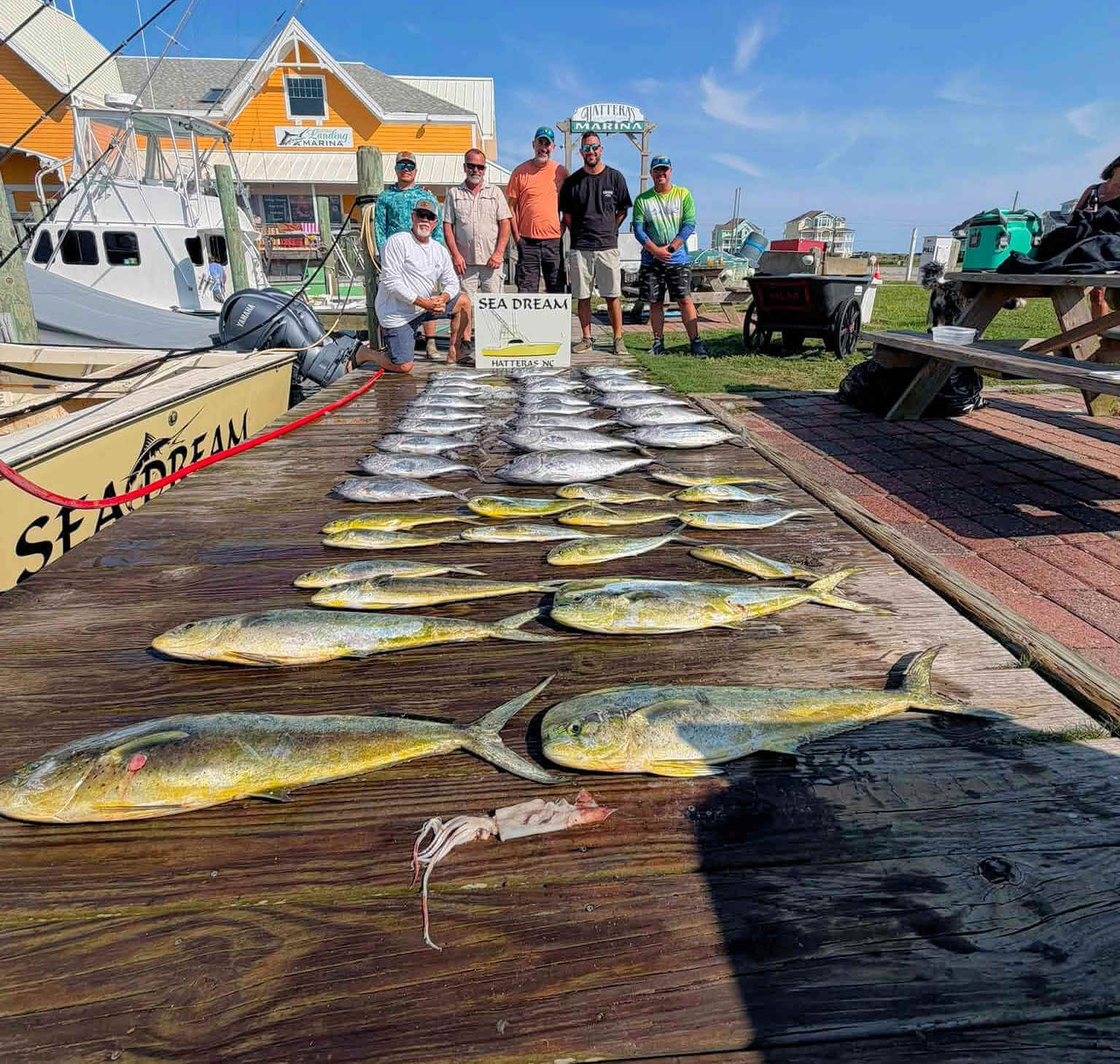  fishing report images from Sea Dream Charters