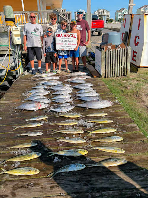 Charter action out of Hatteras on blackfin tuna and mahi.