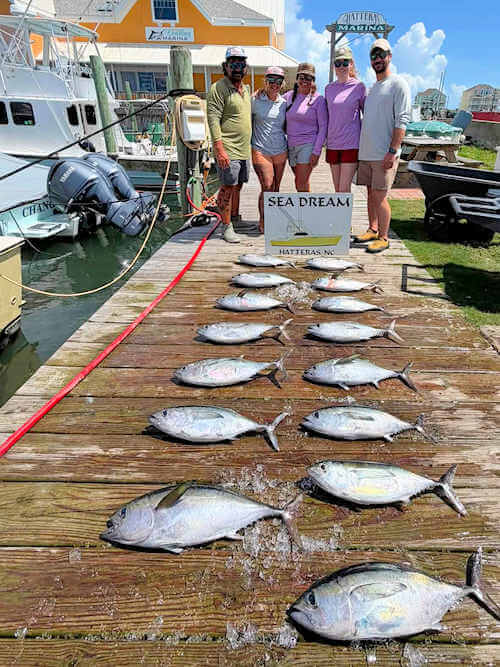 fishing report images from Sea Dream Charters