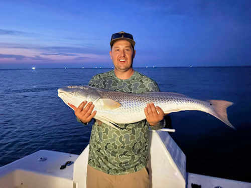 Beautiful twilight picture of angler holding huge red drum.