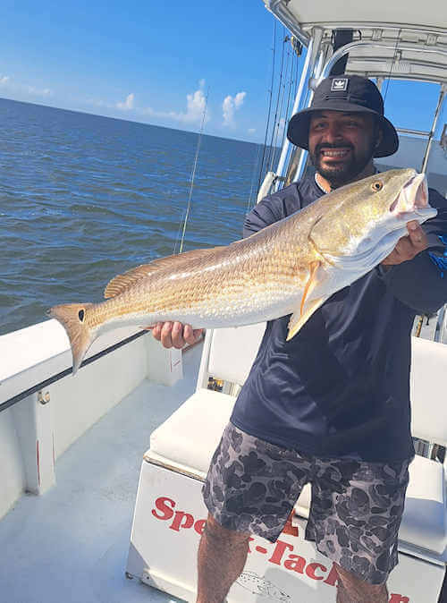 Good angler with a huge summertime red drum.