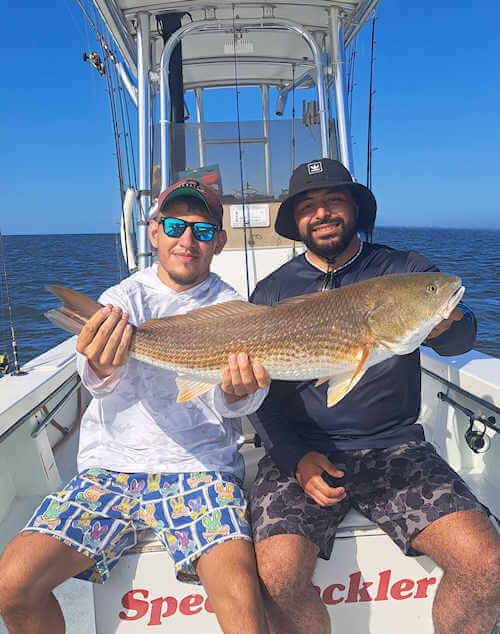 Two anglers holding up massive red drum.