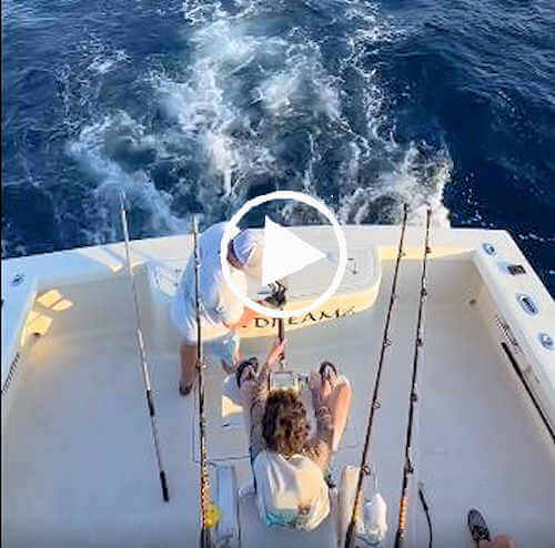 Video of angler fighting wahoo.
