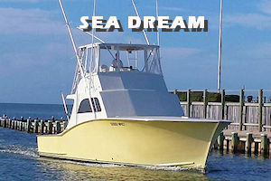 Sea Dream Hatteras charter fishing boat.